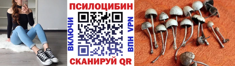 Купить  Дзержинск  Галлюциногенные грибы мухоморы 
